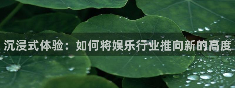 新航娱乐：沉浸式体验：如何将娱乐行业推向新的高度