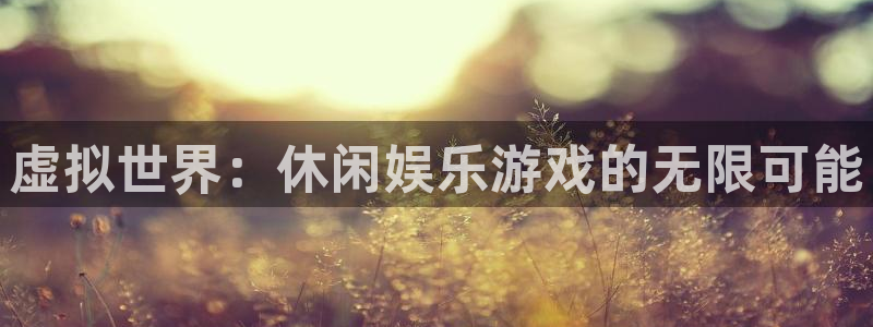 新航娱乐：虚拟世界：休闲娱乐游戏的无限可能