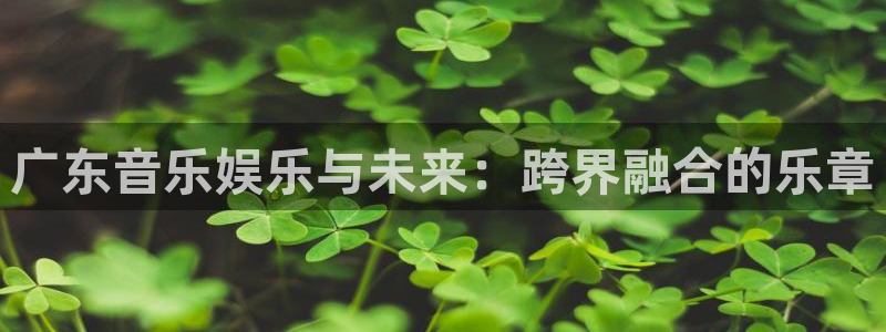 新航娱乐：广东音乐娱乐与未来：跨界融合的乐章