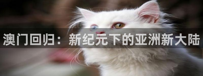 新航娱乐登录地址：澳门回归：新纪元下的亚洲新大陆