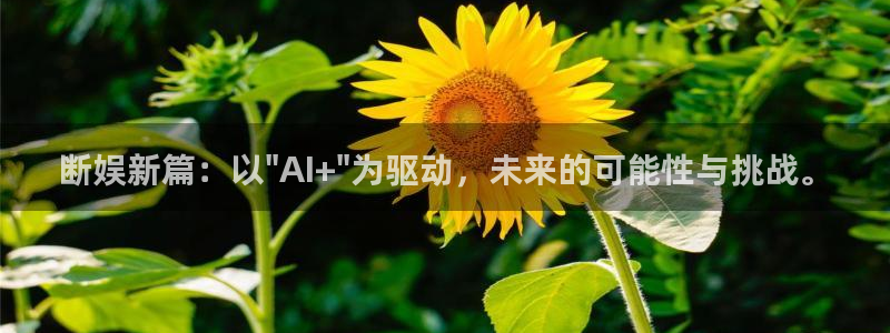 新航娱乐：断娱新篇：以\