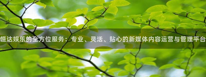 新航娱乐注册：恒达娱乐的全方位服务：专业、灵活、贴心的新媒体内容运营与管理平台