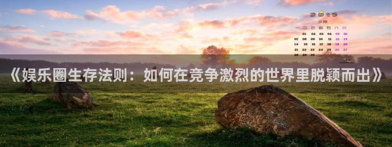 新航娱乐登录地址：《娱乐圈生存法则：如何在竞争激烈的世界里脱颖而出》