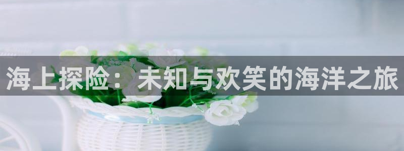 新航娱乐登录地址：海上探险：未知与欢笑的海洋之旅