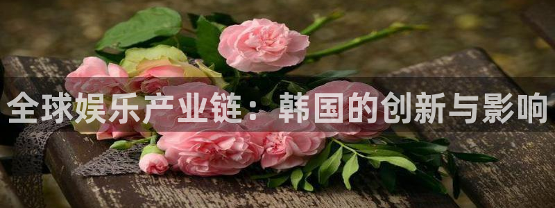 新航娱乐注册：全球娱乐产业链：韩国的创新与影响