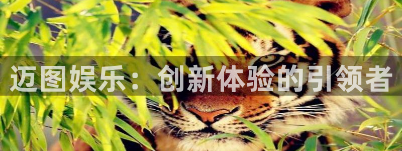 新航娱乐官网登录入口：迈图娱乐：创新体验的引领者