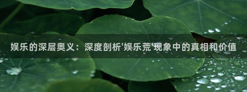 新航娱乐：娱乐的深层奥义：深度剖析\'娱乐荒\'现象中的真相和价值