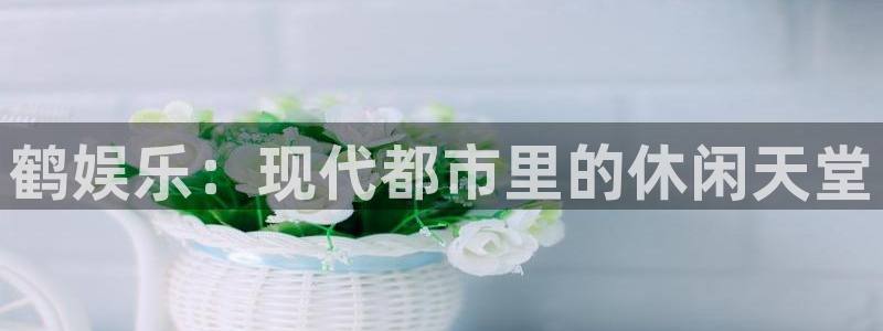 新航娱乐官网：鹤娱乐：现代都市里的休闲天堂