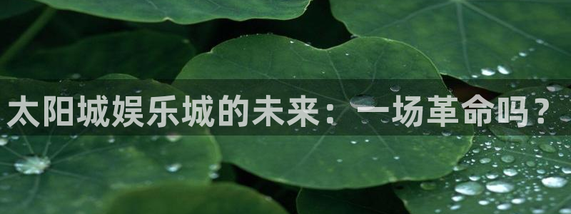 新航娱乐官网：太阳城娱乐城的未来：一场革命吗？