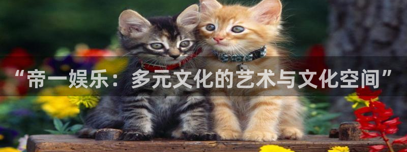 新航娱乐登录地址：“帝一娱乐：多元文化的艺术与文化空间”